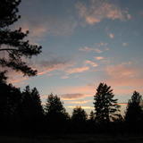 DSC_2910.JPG