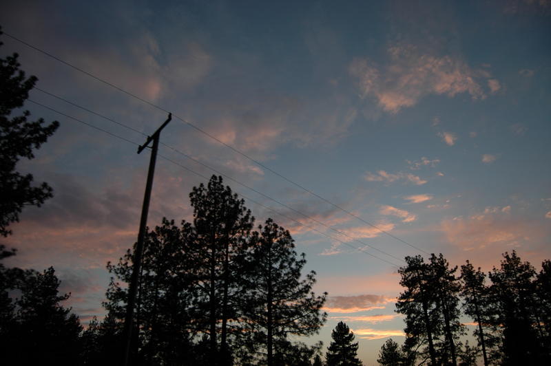 DSC_2911.JPG
