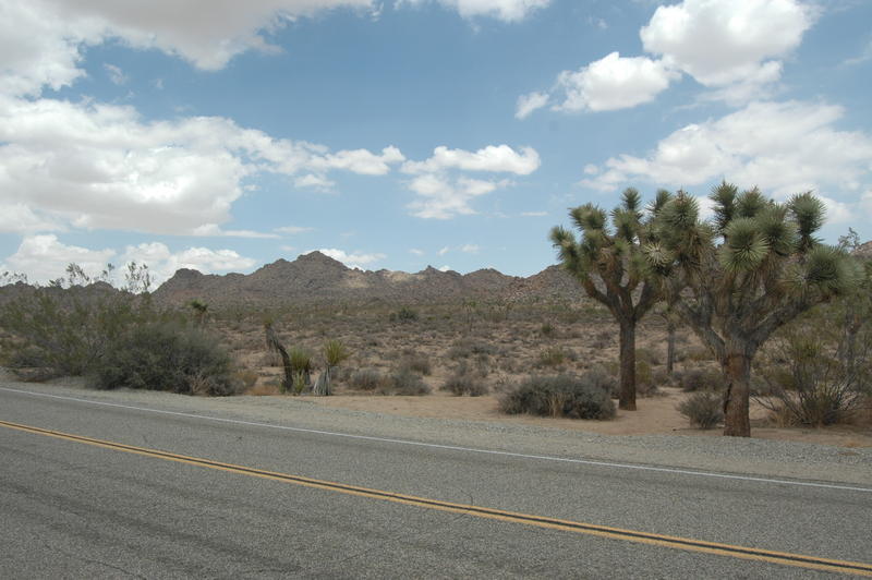 DSC_3249.JPG