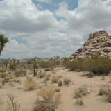 DSC_3260.JPG