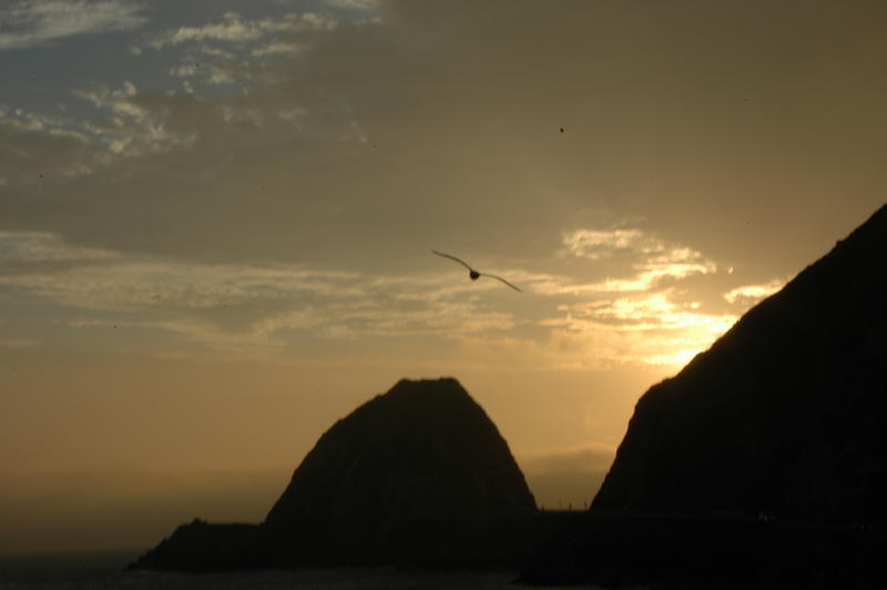 DSC_3163.JPG