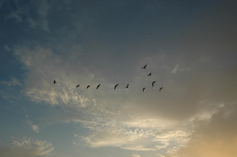 DSC_3177.JPG