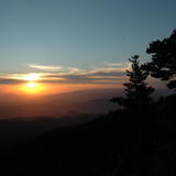 DSC_3403.JPG
