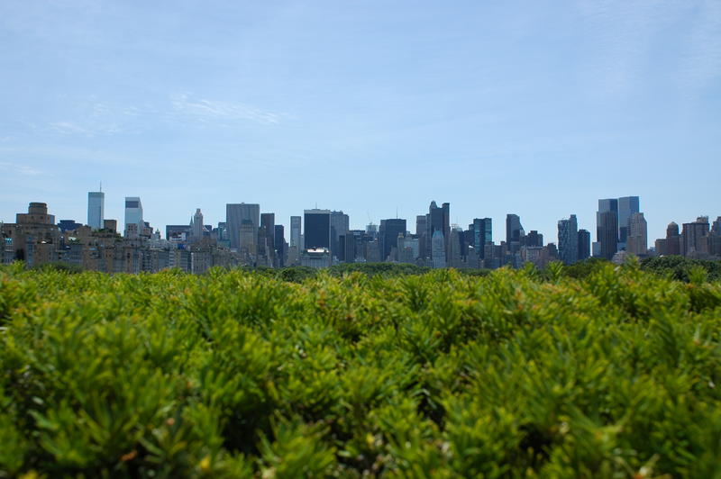 DSC_2612.JPG