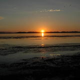 DSC_6634.JPG