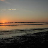 DSC_6649.JPG