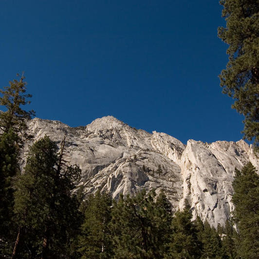 DSC_7494.jpg
