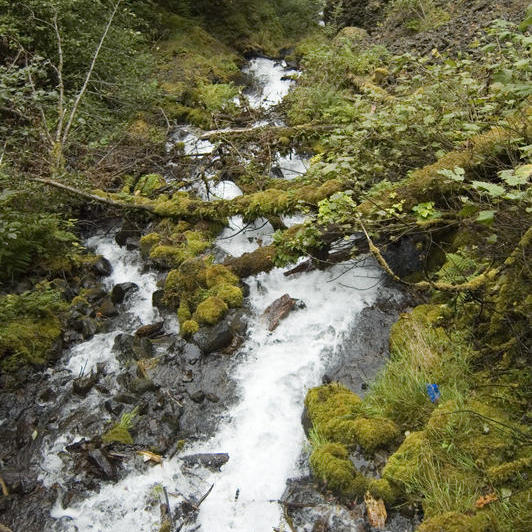 DSC_8020.jpg