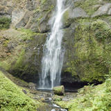 DSC_8064.jpg