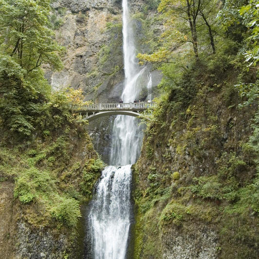 DSC_8085.jpg