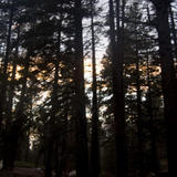 Gorgonio20080830_0641.jpg
