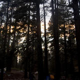 Gorgonio20080830_0642.jpg