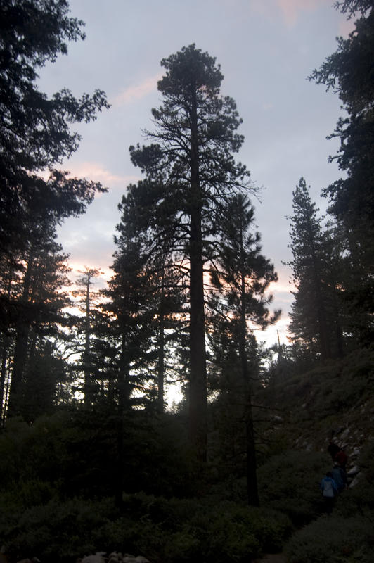 Gorgonio20080830_0643.jpg